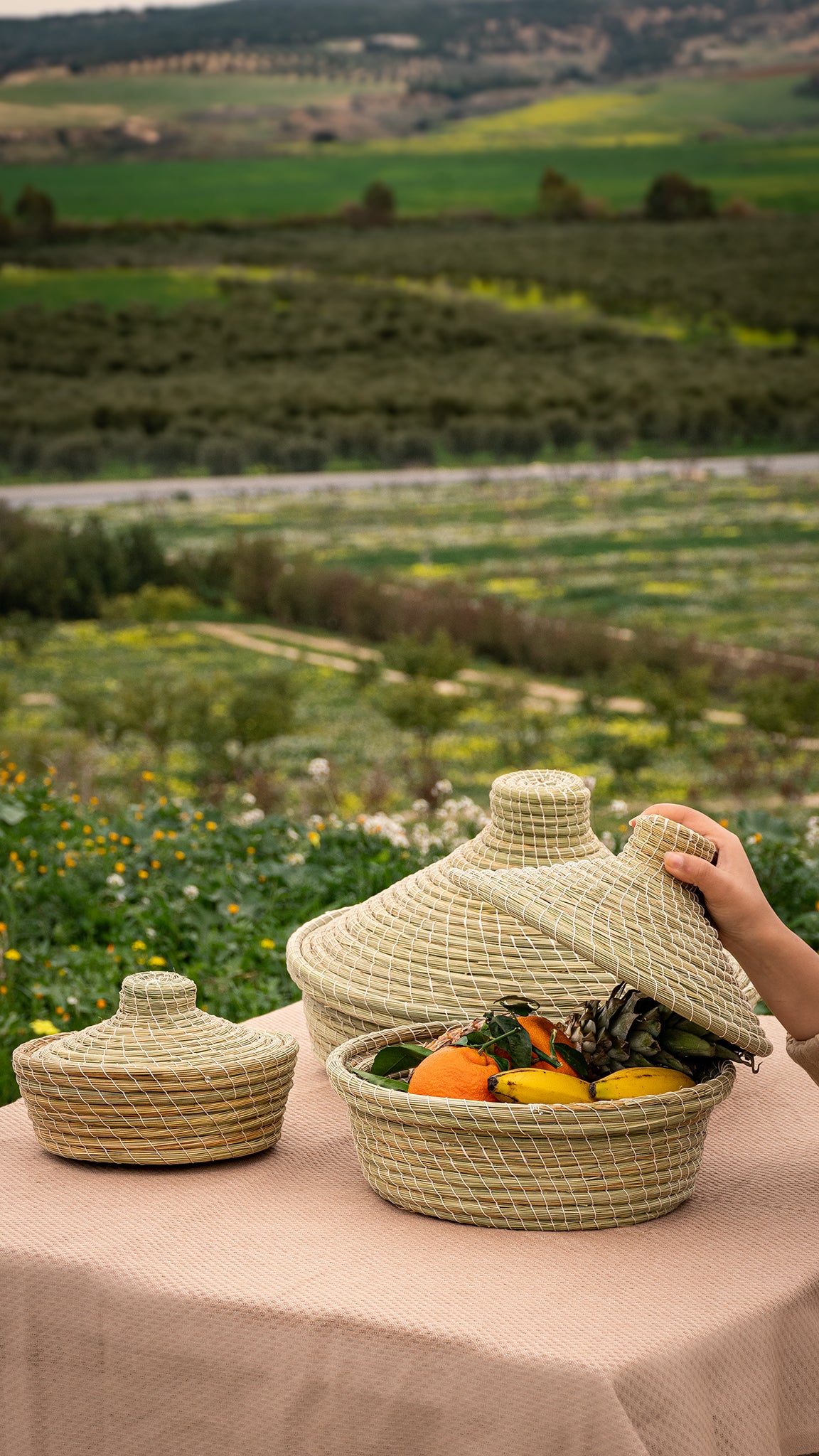 Panier Tibsi Halfa